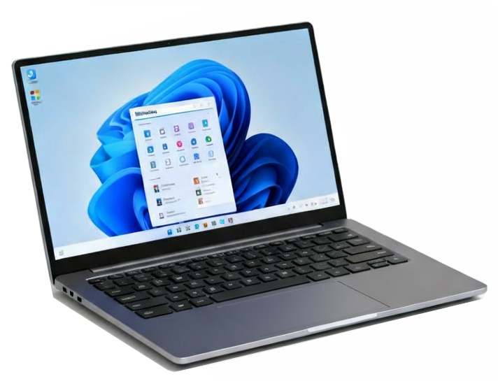 Description d'evonov